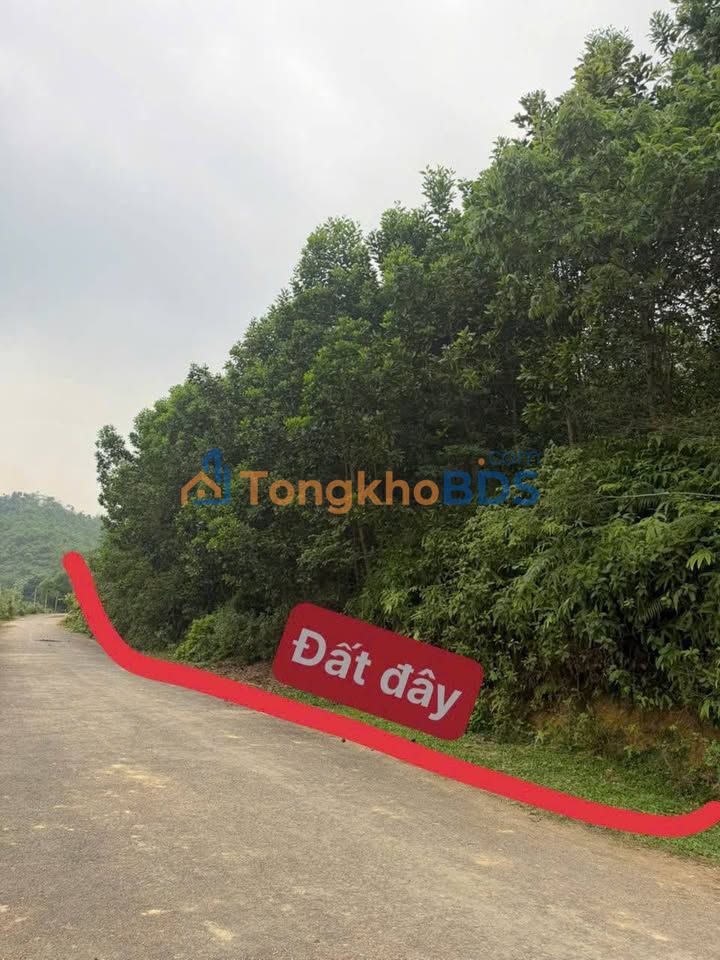 Đất Vàng Cẩm Khê 1999m² - 1.x Tỷ, Mặt Tiền 65m Đường Nhựa