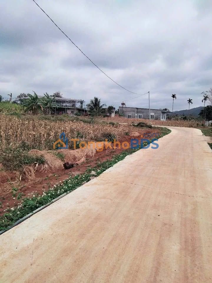 Đất thổ cư Ea Hồ 240m² 590 triệu - Sổ đỏ sẵn