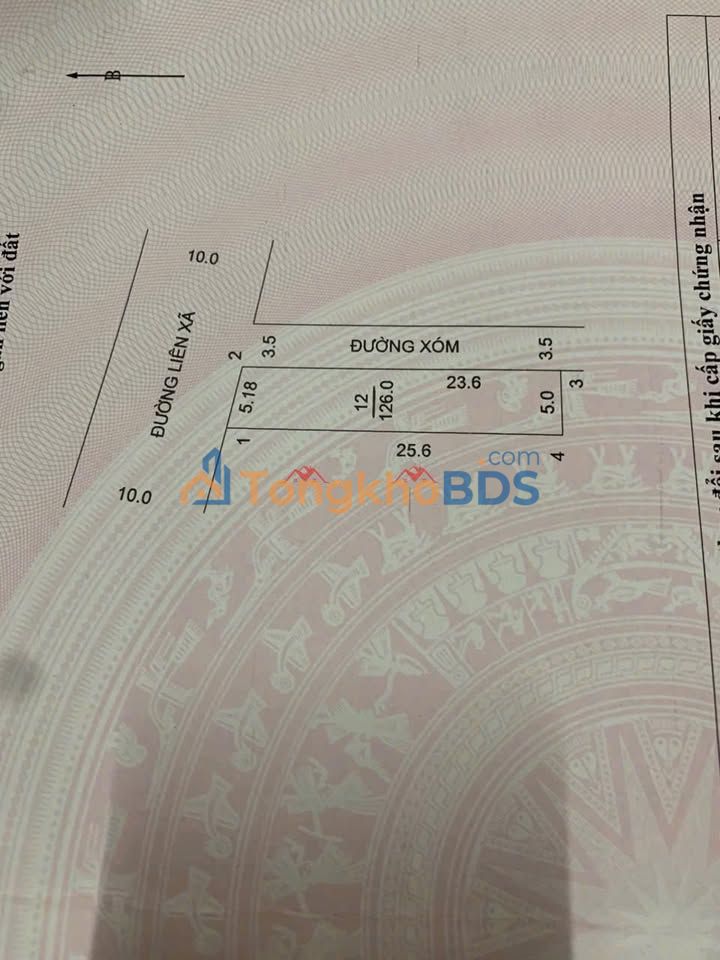 Đất mặt đường Máng 7 Tiên Phương 126m2 - Sổ đỏ chính chủ