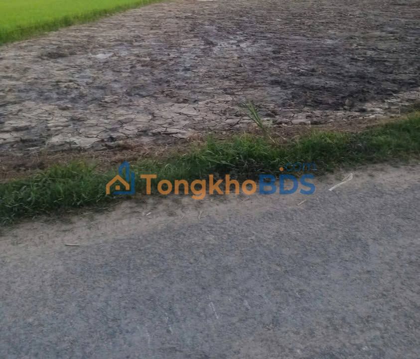 Đất nền Trung Ngãi 434m² 400 triệu - Sổ đỏ chính chủ