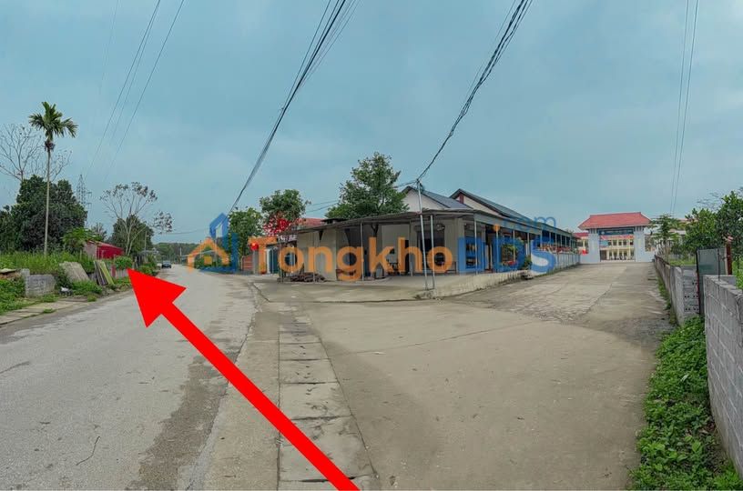 Đất Nền 196m² Mặt Tiền 5m Đường Nhựa 10m - Tu Vũ, Phú Thọ - Đầu Tư Sinh Lời