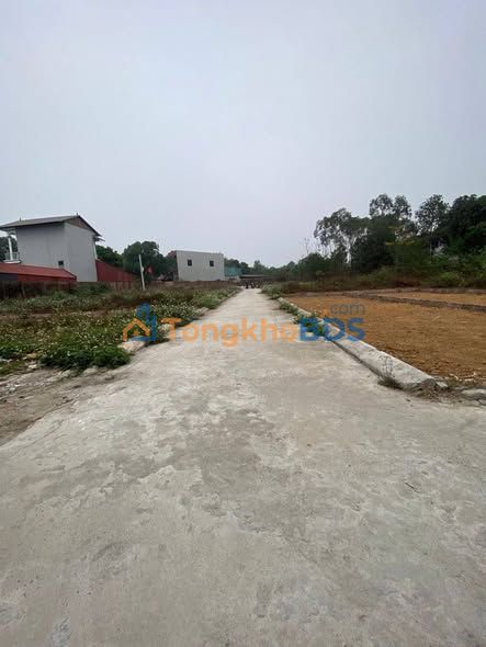 Đất nền Quang Tiến Sóc Sơn 62m² 2 tỷ - Sổ đỏ chính chủ