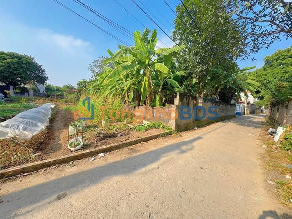 Bán đất Mê Linh 80m² full thổ cư, nở hậu – Giá nhỉnh 2 tỷ