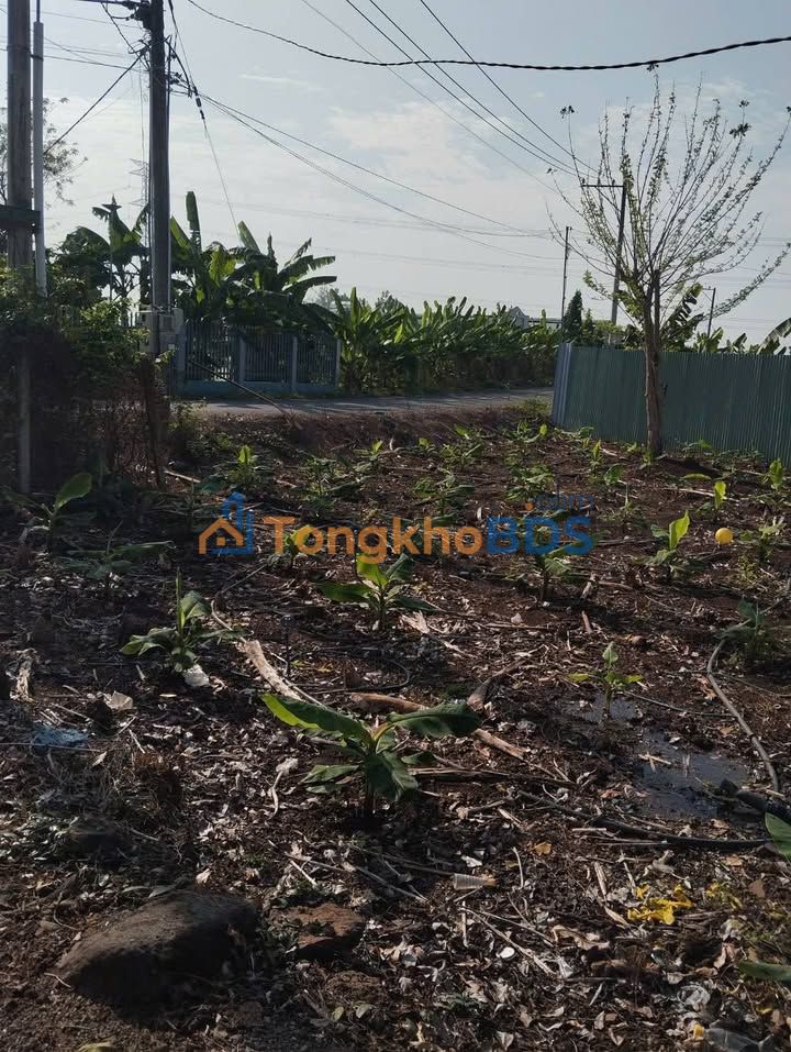 Bán Đất Vườn Đồng Nai 14400m² Giá Tốt - Sẵn Nhà Vườn