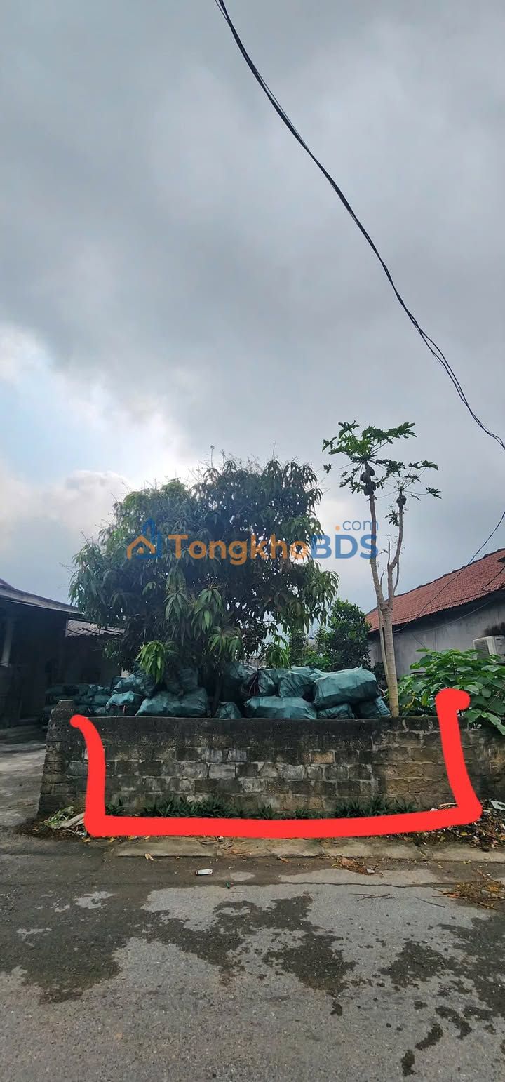 Đất Vàng Yên Dũng 127.8m² - Sổ Đỏ TC, Giá 1 Tỷ - Đầu Tư Sinh Lời