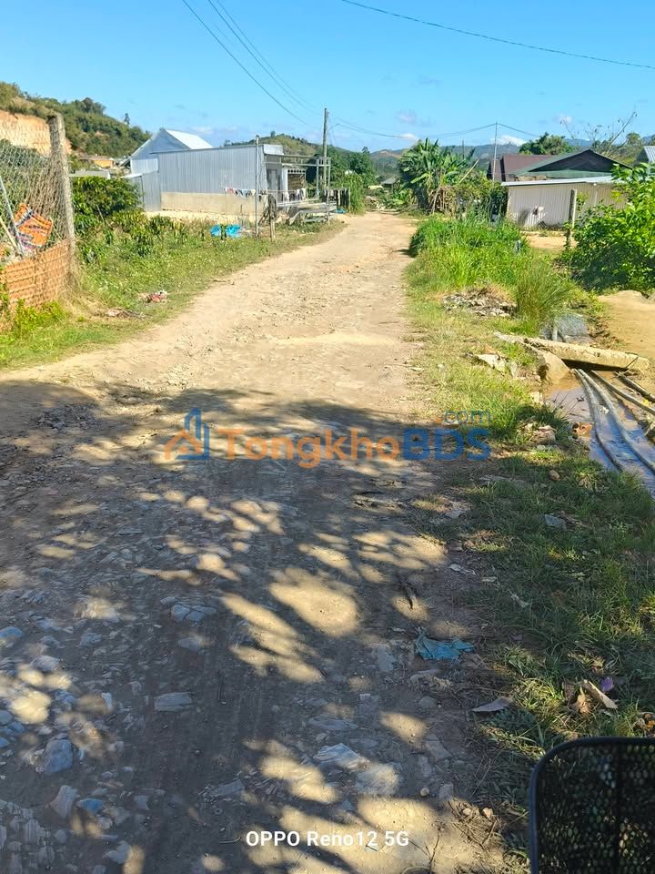 Đất Đam Rông 1200m² Sổ Hồng - Giá 550 Triệu, Sẵn Xây Nhà