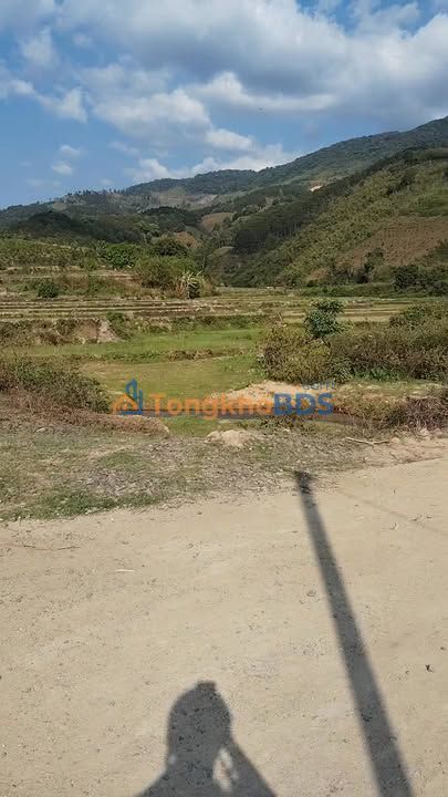 Đất nền Đạ Long Đam Rông 1.440m² giá 21.6 tỷ - Sổ đỏ chính chủ