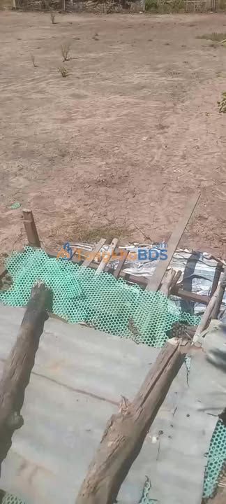 Farm Đạ Lây Đạ Huoai 2ha 6,3 tỷ - Sổ đỏ chính chủ