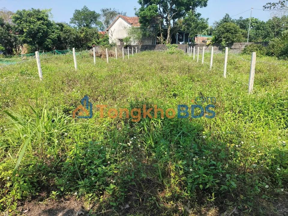 Đất Nền Thuận Đức - Lỗ Sốc 210m² Giá Chỉ 4xx Triệu!