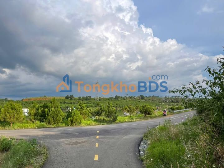 Đất Nền View Hồ Mai Thành - Bảo Lộc 1260m² Giá 3.5 Tỷ