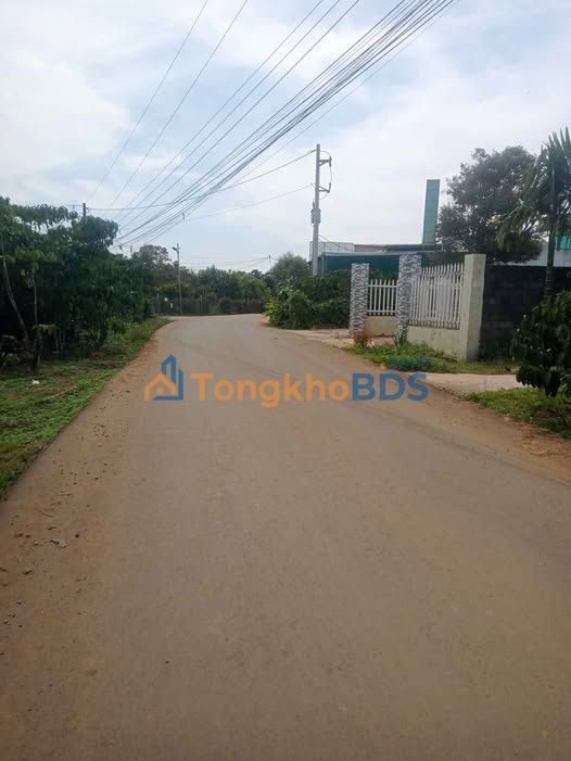 Bán Đất Lộc Thanh Bảo Lộc 1176m² Sổ Đỏ - Hẻm Nhựa Thông Thoáng