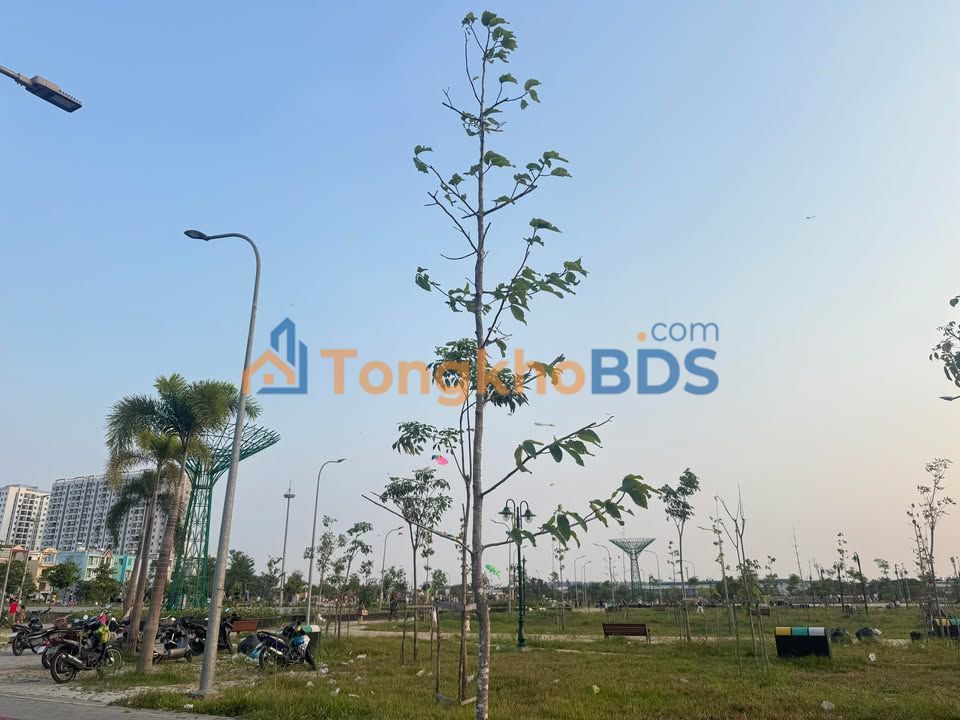 Đất Trường Chinh Quận 12 81m² giá thỏa thuận - Sổ đỏ chính chủ, vị trí siêu tiềm năng