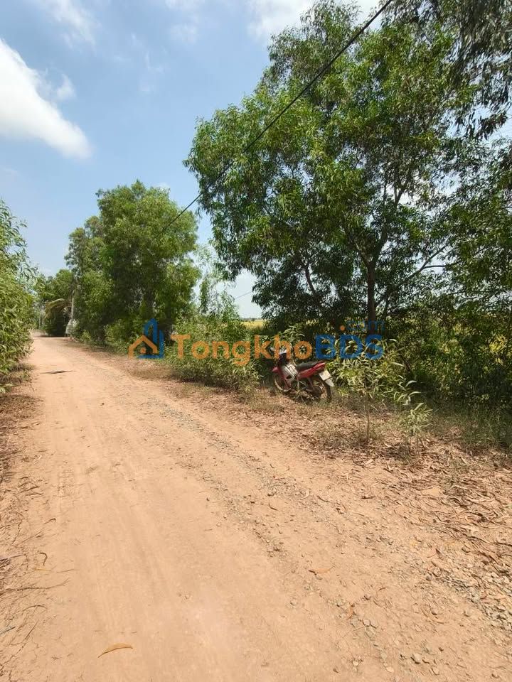 Đất nền Tân Công Sính Đồng Tháp 1050m² 390 triệu - Đường to ô tô