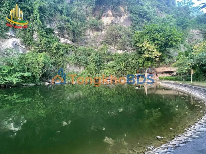 Đất nền Hoa Lư Ninh Bình 23.500m² - Đường ô tô vào