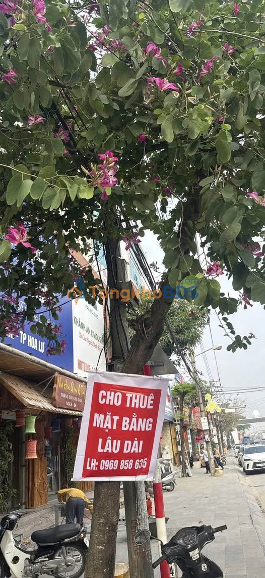 Mat bang LVT Ninh Binh 120m2 - Mat tien kinh doanh