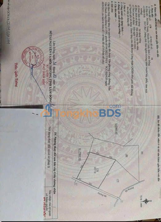 Bán Đất Cà Phê 7200m² Mặt Tiền 35m Lộc Hòa, Bảo Lâm