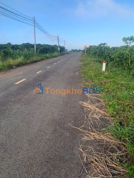 Đất vườn Lộc Sơn Bảo Lộc 6400m² 6,4 tỷ - Sinh thái xanh