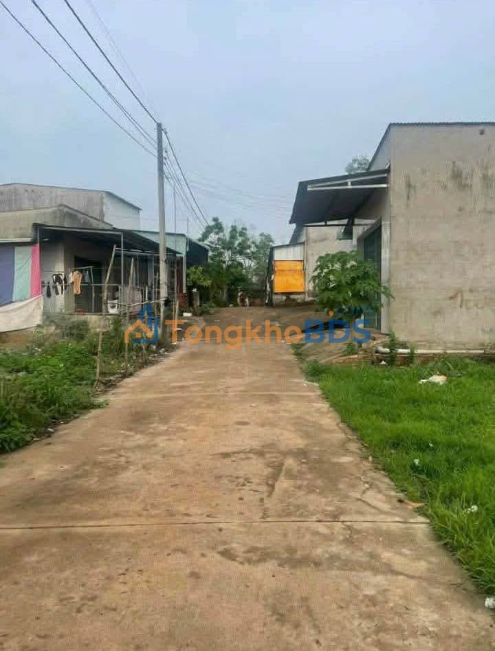 Đất nền Trảng Bom Sông Trầu 100m² 550 triệu - Sổ đỏ chính chủ