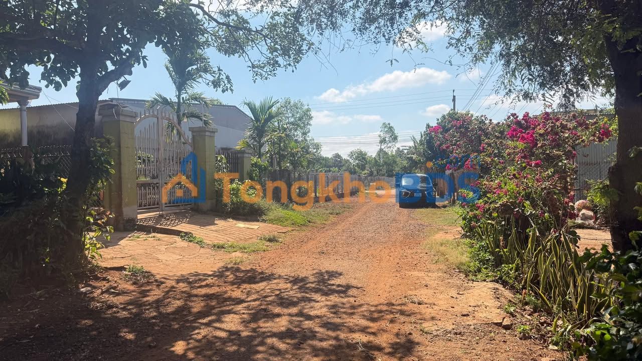 Đất nền Ia Blang 306m² 740 triệu - Xây dựng tự do