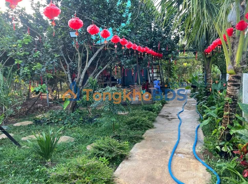 Đất Vườn 3600m² Xã Bàu Sen, Đồng Nai - Giá 1.86 Tỷ, Sổ Đỏ, Sẵn Ở