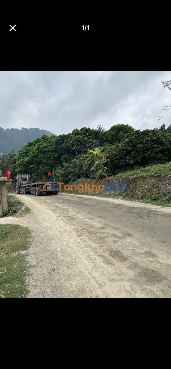 Bán gấp đất 3800m² Lương Sơn, Phú Thọ - Mặt tiền 65m, giá đầu tư chỉ 1.x tỷ/ha