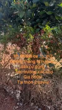 Đất nền Ea Wy, Đắk Lắk: 180m² Sổ hồng sẵn, Giá chỉ từ 420 triệu