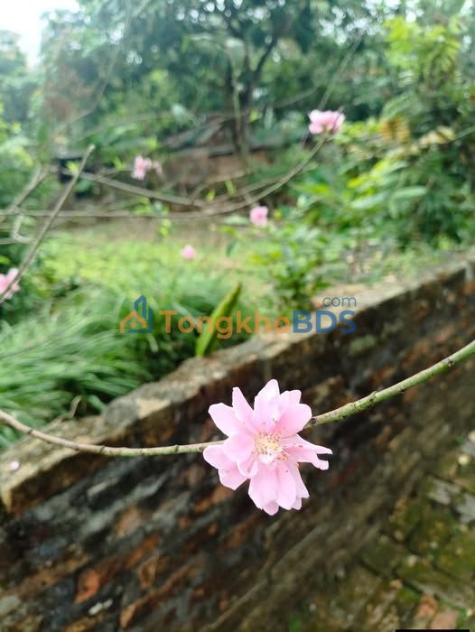 Căn hộ Hudic Nguyễn Văn Linh 1PN 6 triệu - Bàn giao ngay