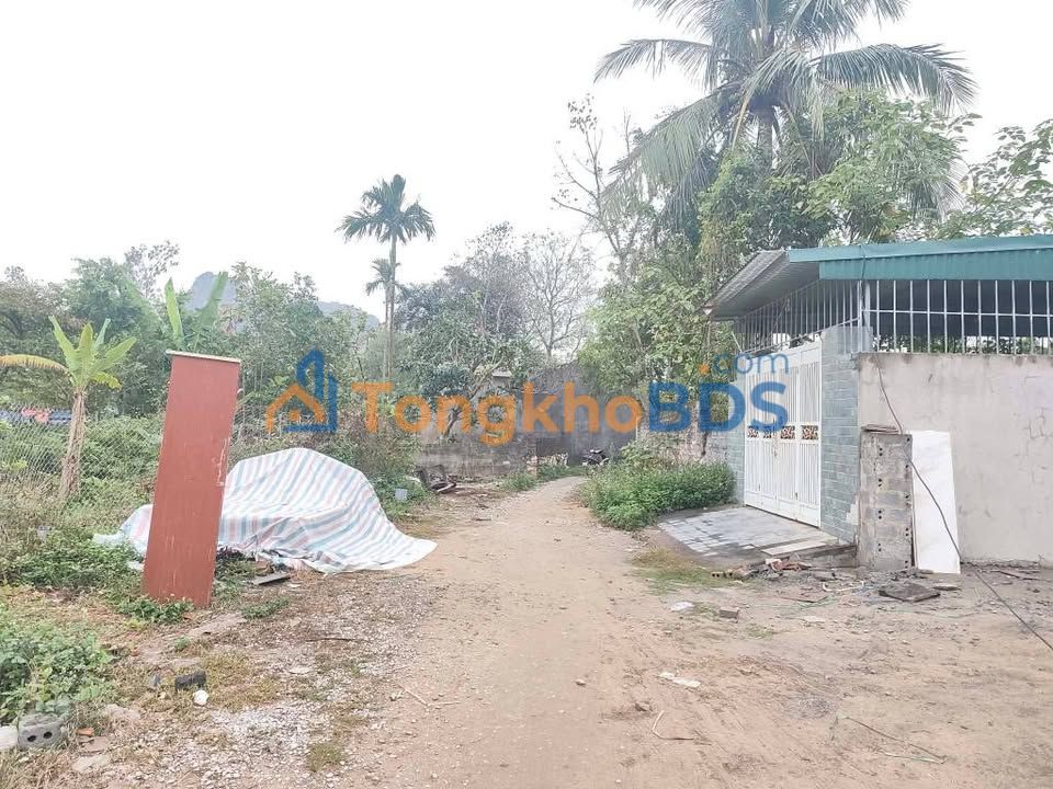 Đất Phố Nam Sơn Thanh Hóa 115m² 3 tỷ – Sổ đỏ chính chủ