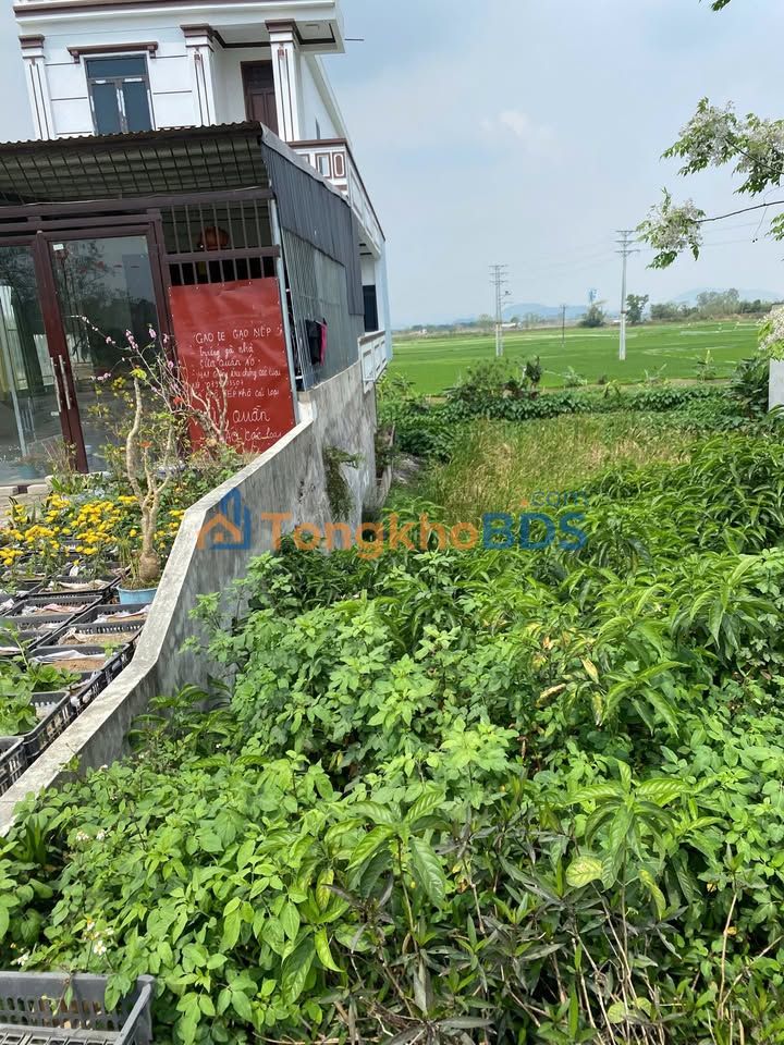 Đất nền Hoằng Cát 121m² 1,2 tỷ - Giá tốt hiếm có