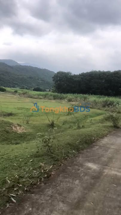 Đất Vàng Cam Lâm 4.5ha - Sổ Đỏ Rõ Ràng, Giá Đầu Tư 11.7 Tỷ