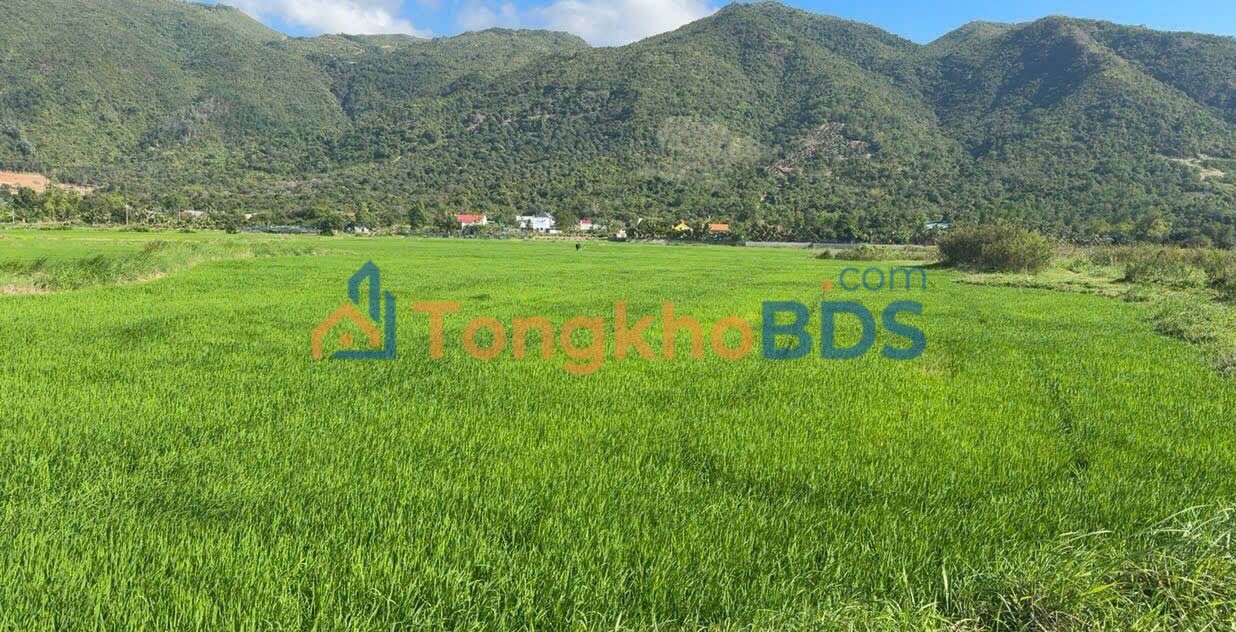 Đất nền Diên Toàn Diên Khánh 430m² 860 triệu - Đường to ô tô