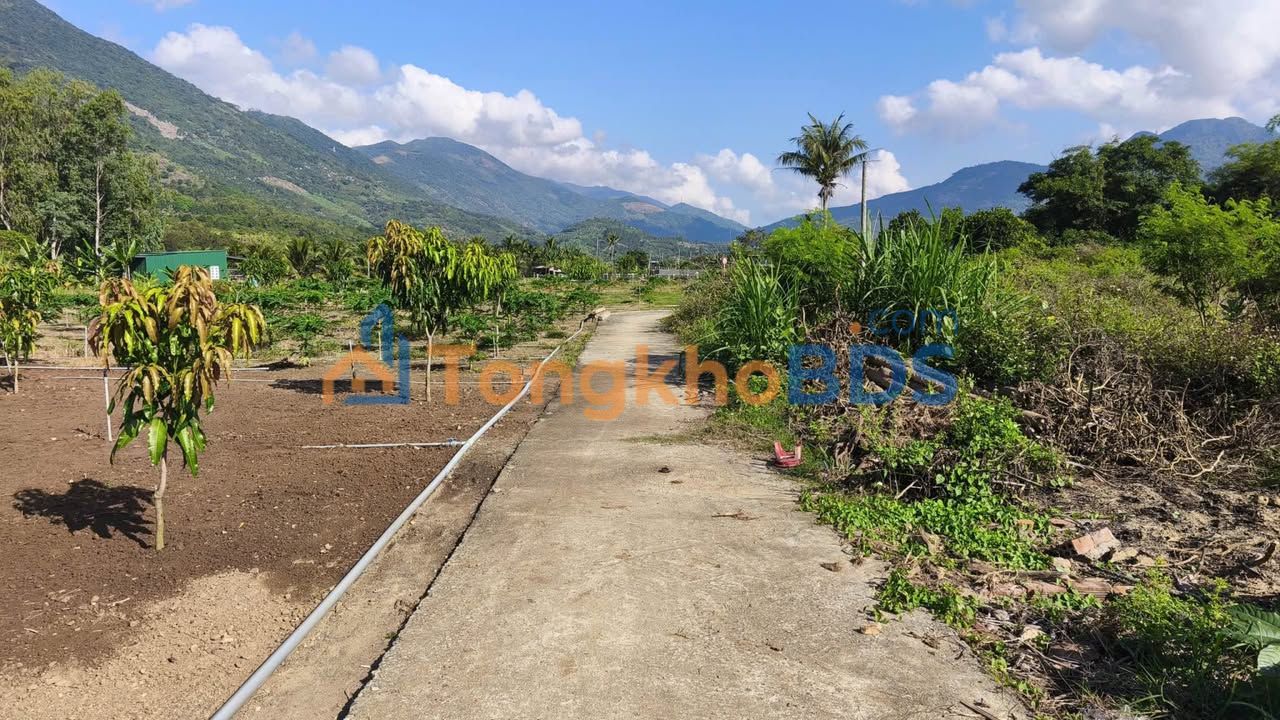 Đất Nền Lộc Thọ Nha Trang 75.4m² - Sổ Hồng Full Thổ Cư - Giá 1.25 Tỷ