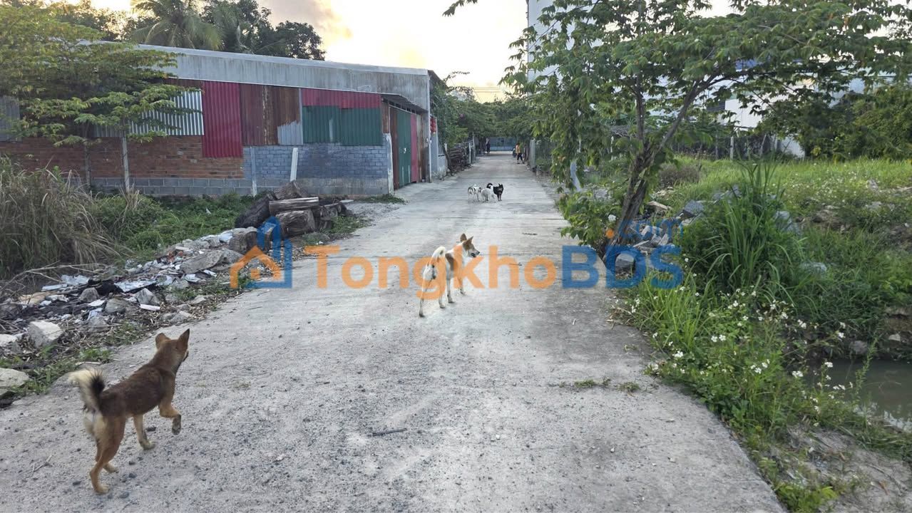 Đất nền Phước Hạ Nha Trang 74m² 1,52 tỷ - Sổ đỏ chính chủ