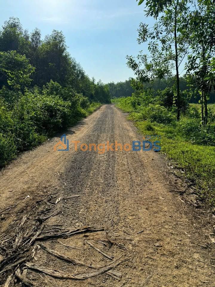 Farm Đất Vườn Diên Xuân Diên An 502m² giá 150 triệu - Sống xanh bên suối