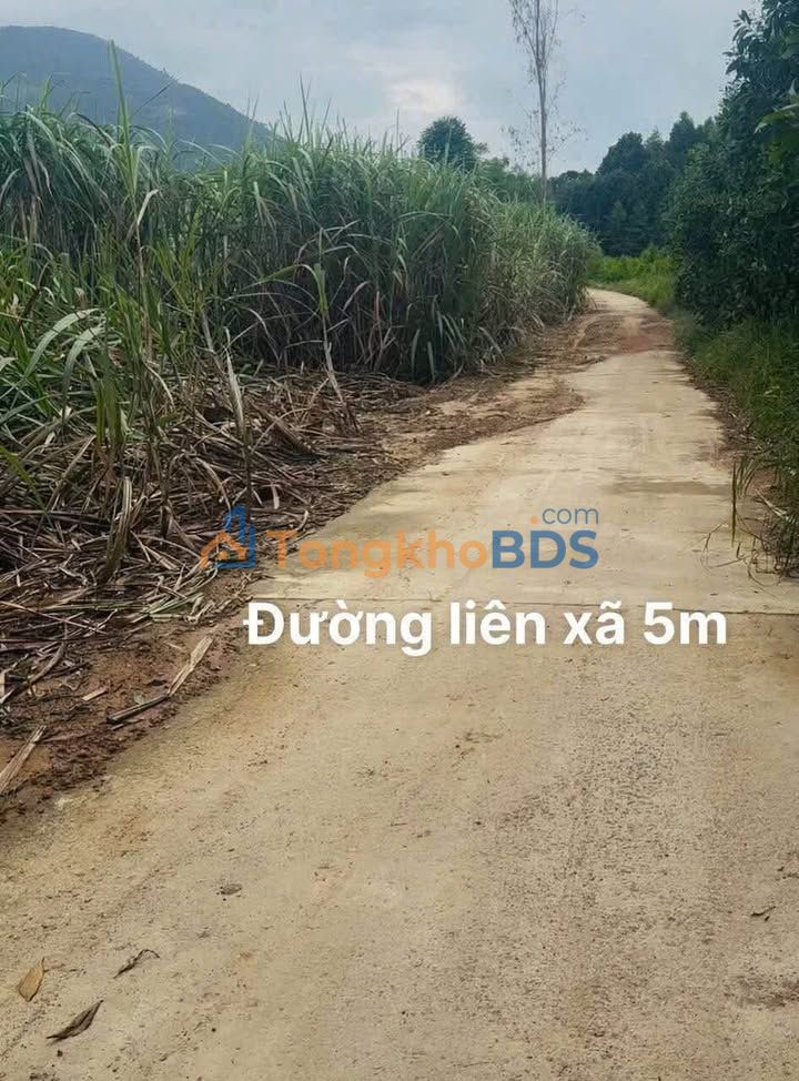 Đất vườn Diên Khánh 562m² 277 triệu - Sổ hồng sẵn