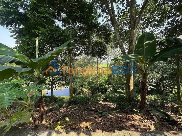 Đất Vườn Đại Từ 1800m² - Sẵn Nhà, Ao, Vườn - Giá Hiếm Hơn 1 Tỷ