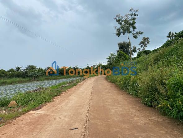 Đất nền Đinh Văn Lâm Hà 1.047m² 1.149 tỷ - Sổ đỏ chính chủ