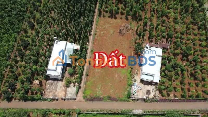 Đất Bàu Chinh Châu Đức 135m² 620 triệu - Sổ đỏ chính chủ