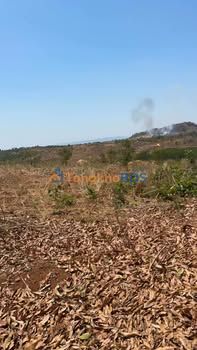 Đất nền Gia Lai Ia Pia 4,3ha 2,58 tỷ - Đầu tư dài hạn