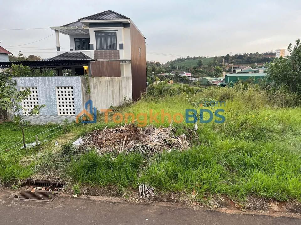 Đất nền Hoàng Diệu Gia Nghĩa 243m² 1,5 tỷ - Tiềm năng tăng giá