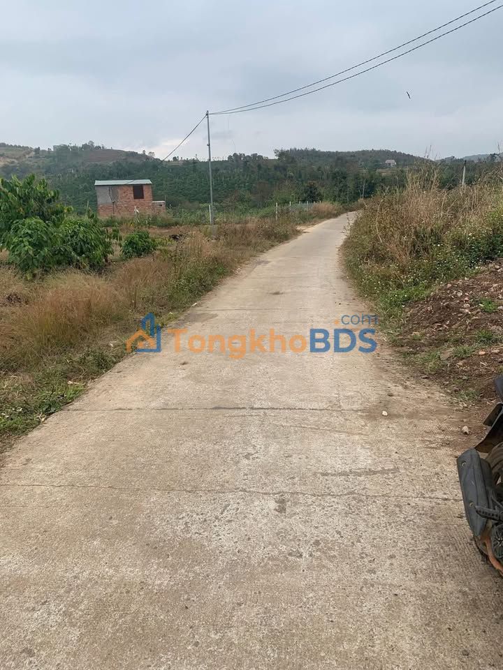 Đất nền Nam Xuân Đắk Nông 792m² 279tr - Đường to ô tô