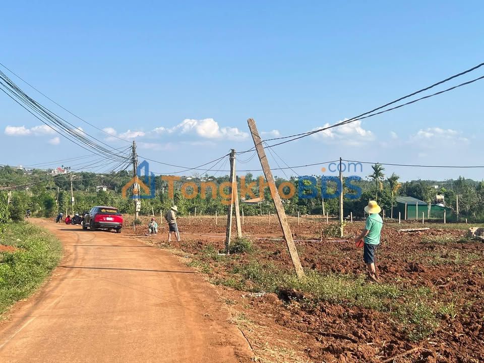 Đất nền Đắk Lắk 310m² - Sổ hồng riêng, giá chỉ 360 triệu/lô