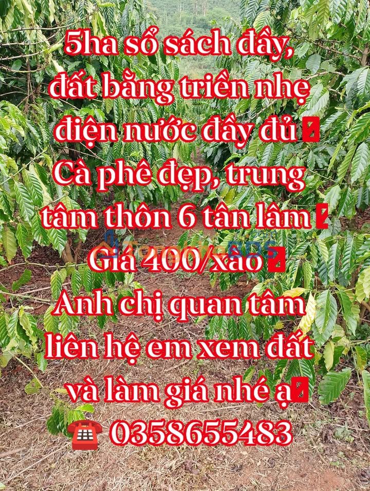 Bán Gấp 5ha Đất Nông Nghiệp Tân Lập, Đắk Lắk - Sổ Sách Đầy Đủ
