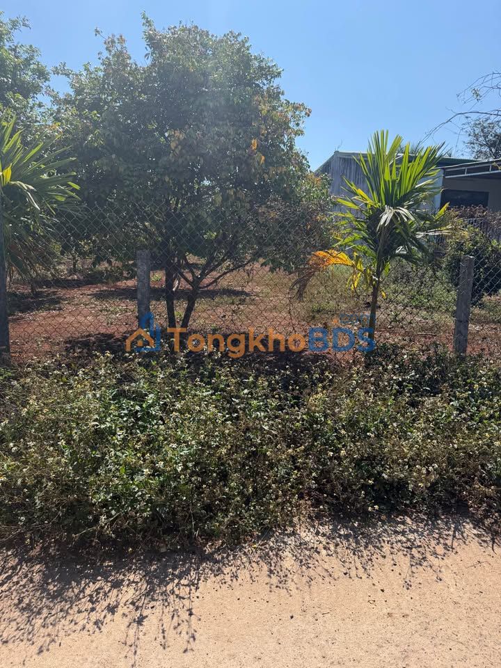 Đất nền Buôn Ma Thuột Arabica 1 750m² 1.007 tỷ - Sổ đỏ chính chủ