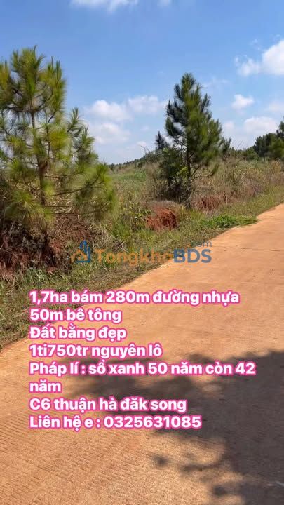 Đất nền Thuận Hà Đắk Song 1,7ha giá 1,75 tỷ - Sổ xanh kéo dài, đầu tư sinh lời