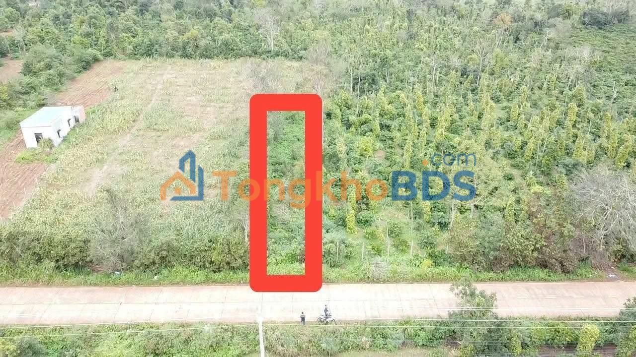 Đất Mặt Tiền QL29 Ea Lê, Đắk Lắk - 530m² - Giá 9.01 Tỷ