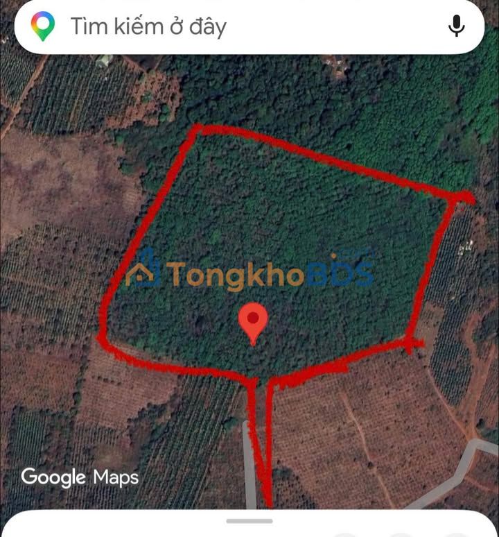 Đất vườn Tuy Đức 5,4ha 5,2 tỷ - Sổ hồng rõ ràng