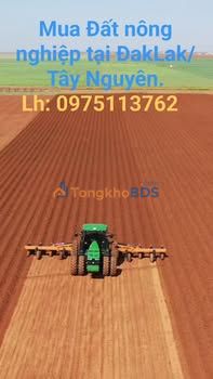 Đất nông nghiệp Cư M'gar 24.000m² - Đường to ô tô