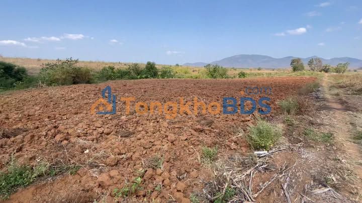 Đất nền xã Ia BLứ 2,2ha cách quốc lộ 10km - Sổ đỏ lô rẻ 877,8 triệu