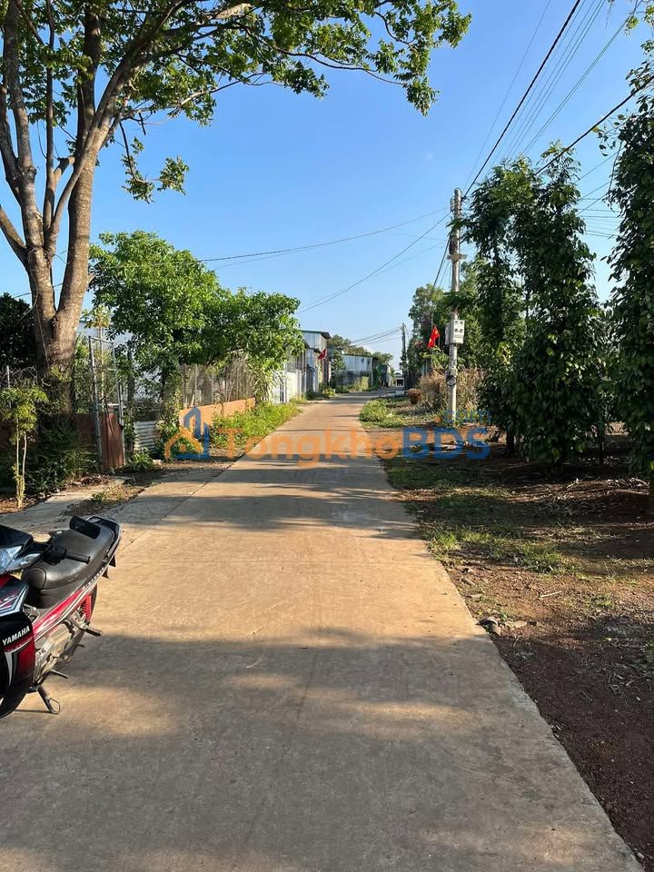 Đất nền Nguyễn Thị Định Buôn Ma Thuột 513m² Sổ đỏ chính chủ